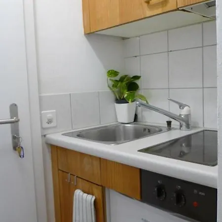 Old Town Charm & Location In Apartment Rapperswil (St. Gallen)